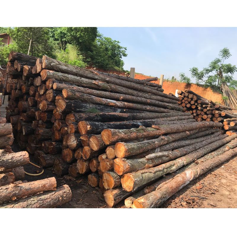 松木樁使用注意事項(xiàng)有哪些？