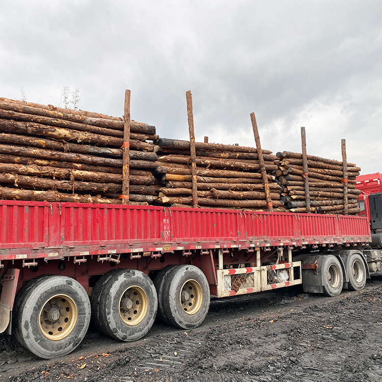 河道木樁報(bào)價:河道(6米)松木木樁多少錢一米,原木樁多少錢？