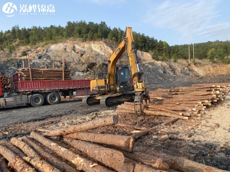 松木樁批發(fā)價(jià)格是多少？