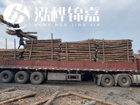 打樁木材為何首選松木？松木樁應(yīng)該怎么打樁施工