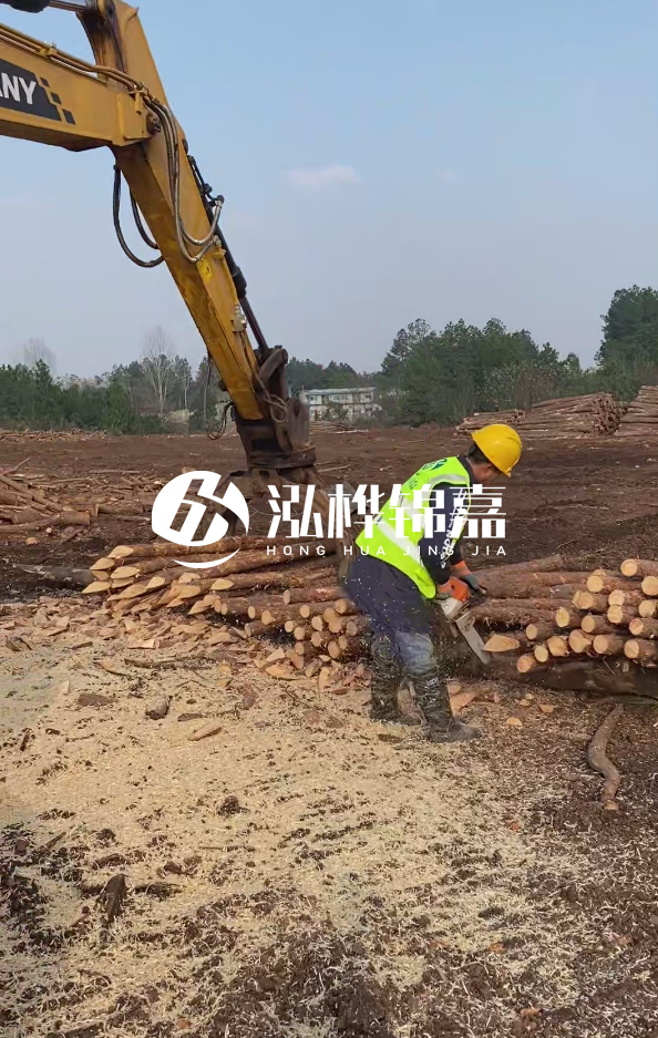 銅陵挖機(jī)打木樁專業(yè)施工-打松木樁一般算米還是算根？