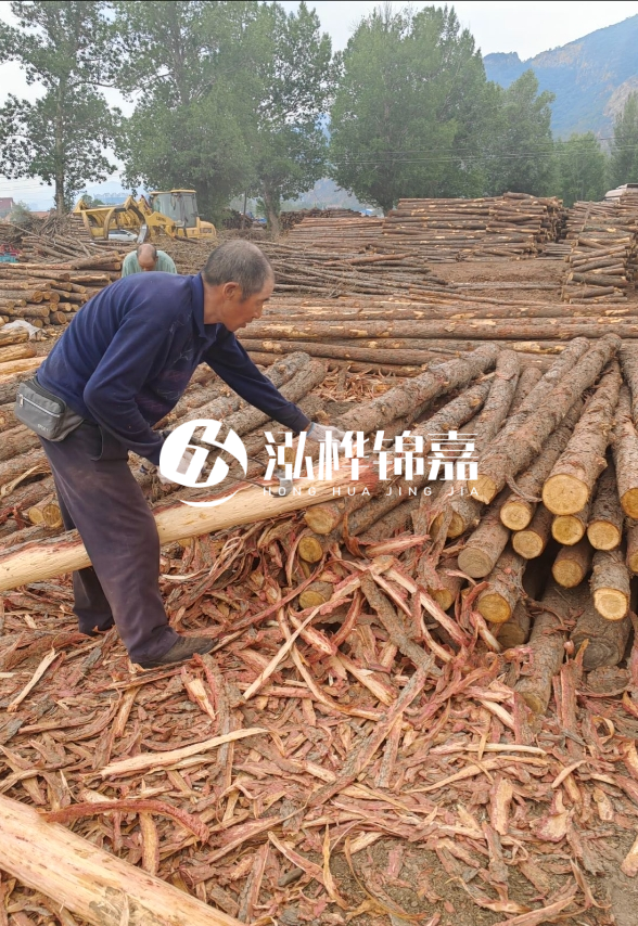 東營河道清淤專業(yè)施工隊-不同型號挖機清淤能力對比？