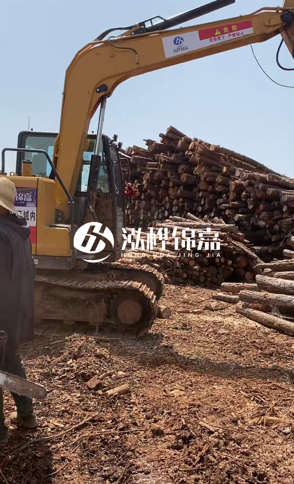 孝感挖機打木樁專業(yè)施工-河道打樁木如果彎曲了還能用嗎？