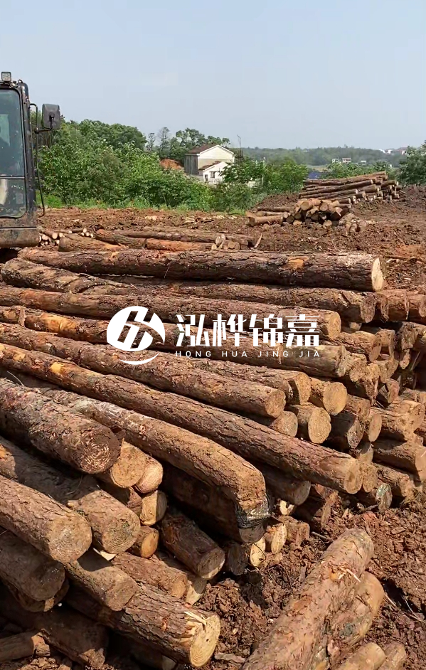 荊州挖機打木樁專業(yè)施工-河道打樁木被水浸泡后會不會變形嚴重？