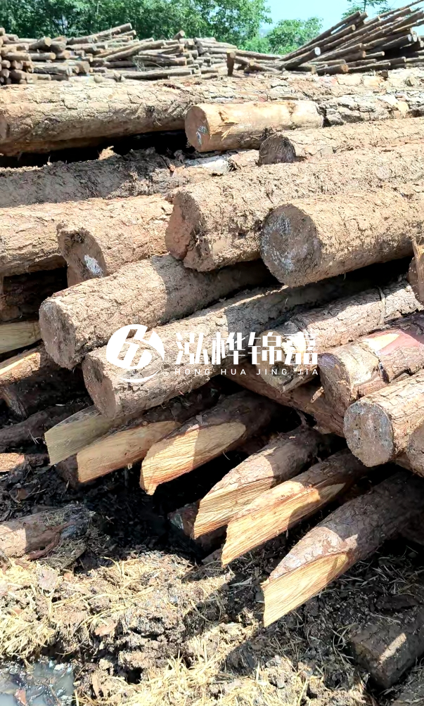 荊門挖機打木樁專業(yè)施工-河道打木樁前是否要清理河道底部雜物？