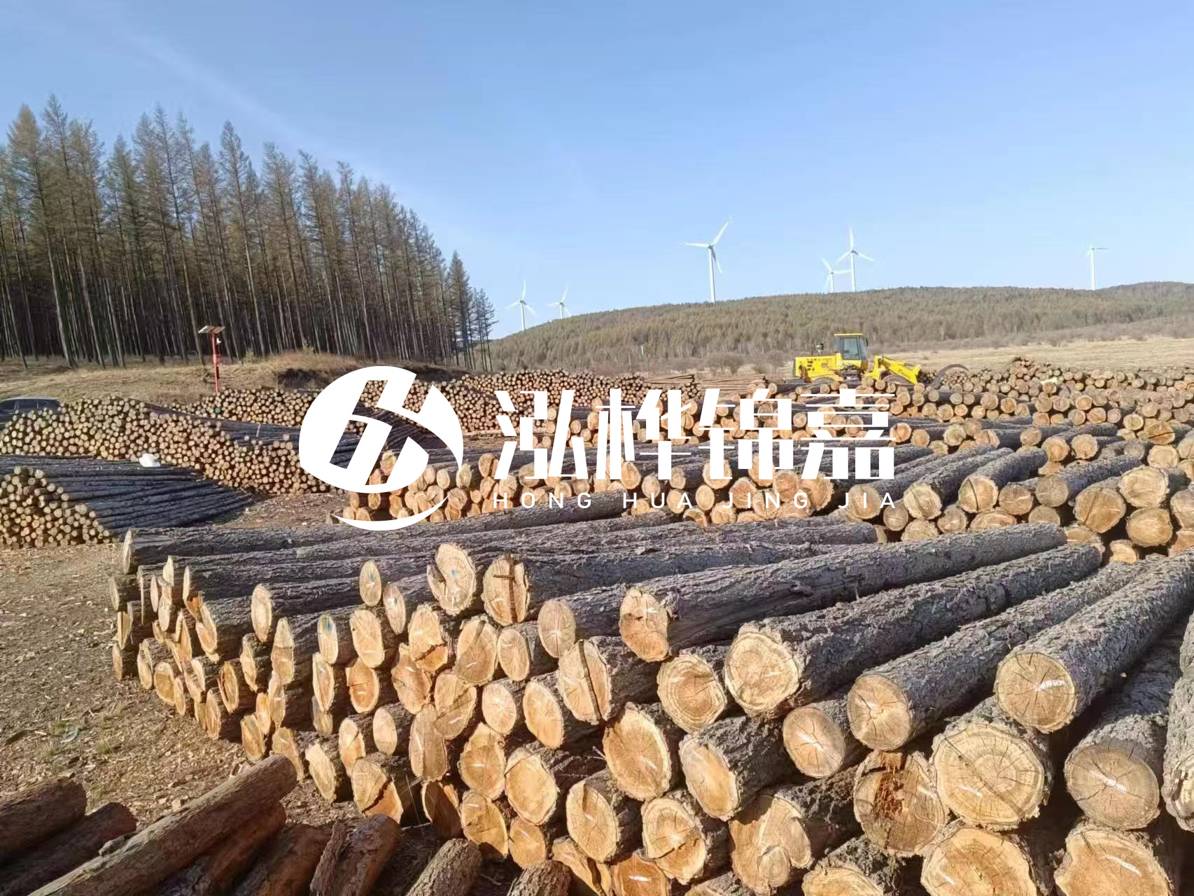 湘潭松木樁源頭廠家-松木樁與水泥樁的性價(jià)比對(duì)比如何？