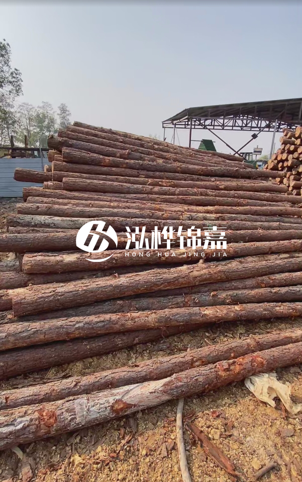 岳陽(yáng)松木樁源頭廠家-河道木樁護(hù)岸能否抵御洪水沖擊？