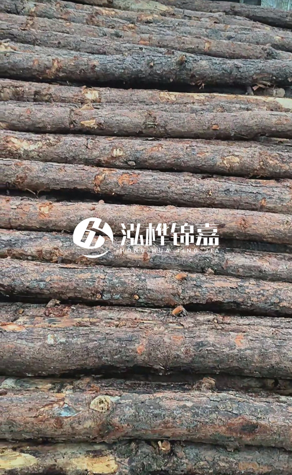 陽(yáng)江松木樁源頭廠家-哪一種打樁木最便宜？