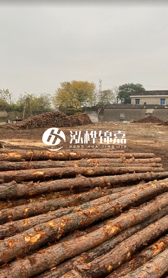 欽州松木樁源頭廠家-松木樁河道治理相比其他材料有何優(yōu)勢(shì)？