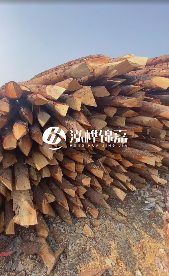 成都松木樁源頭廠家-松木樁價(jià)格5米多少錢(qián)？