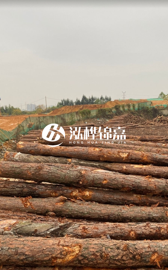 攀枝花松木樁源頭廠家-河道松木樁廠家聯(lián)系方式？