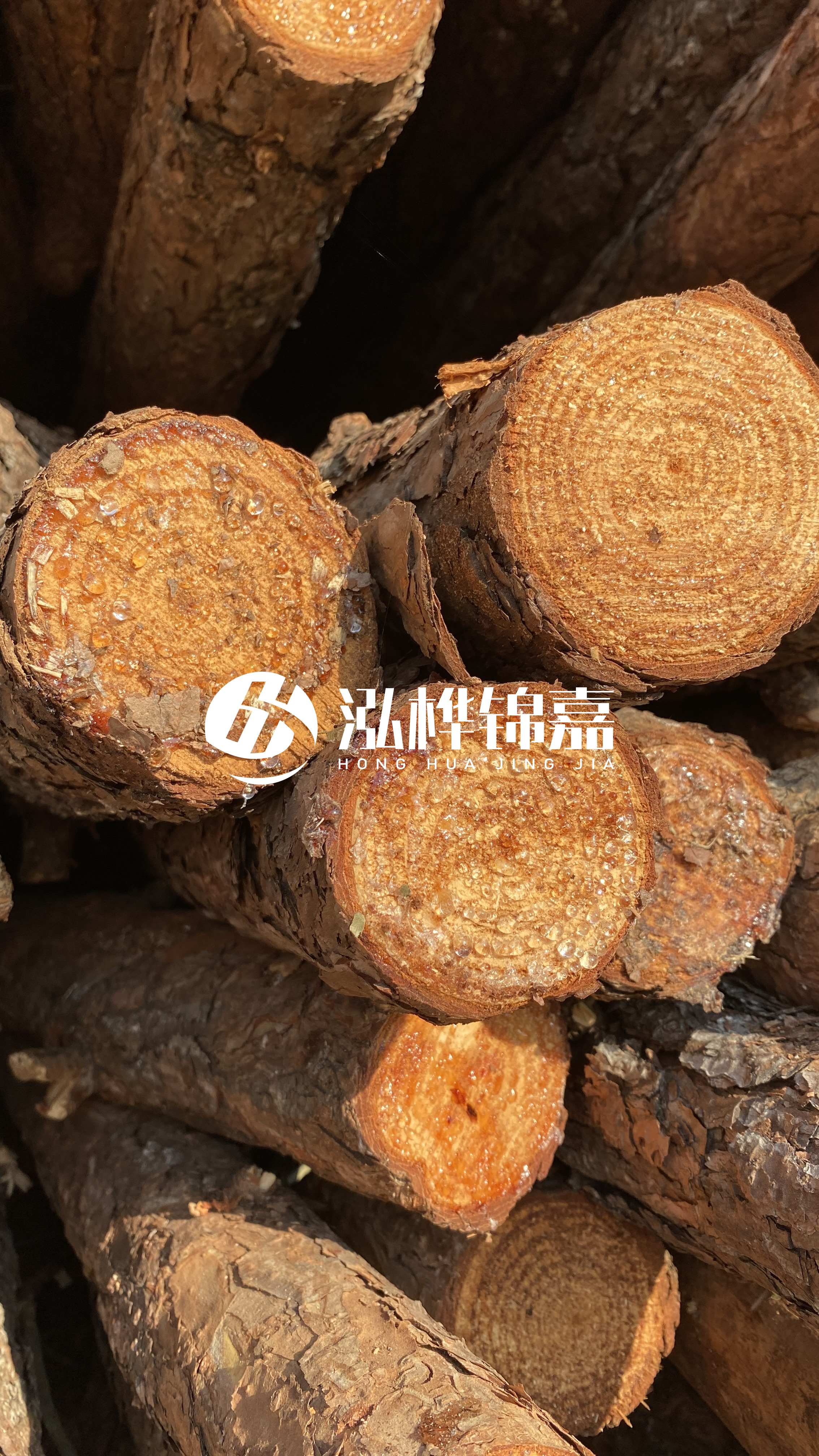 南充松木樁源頭廠家-木樁護(hù)坡優(yōu)缺點(diǎn)有哪些？