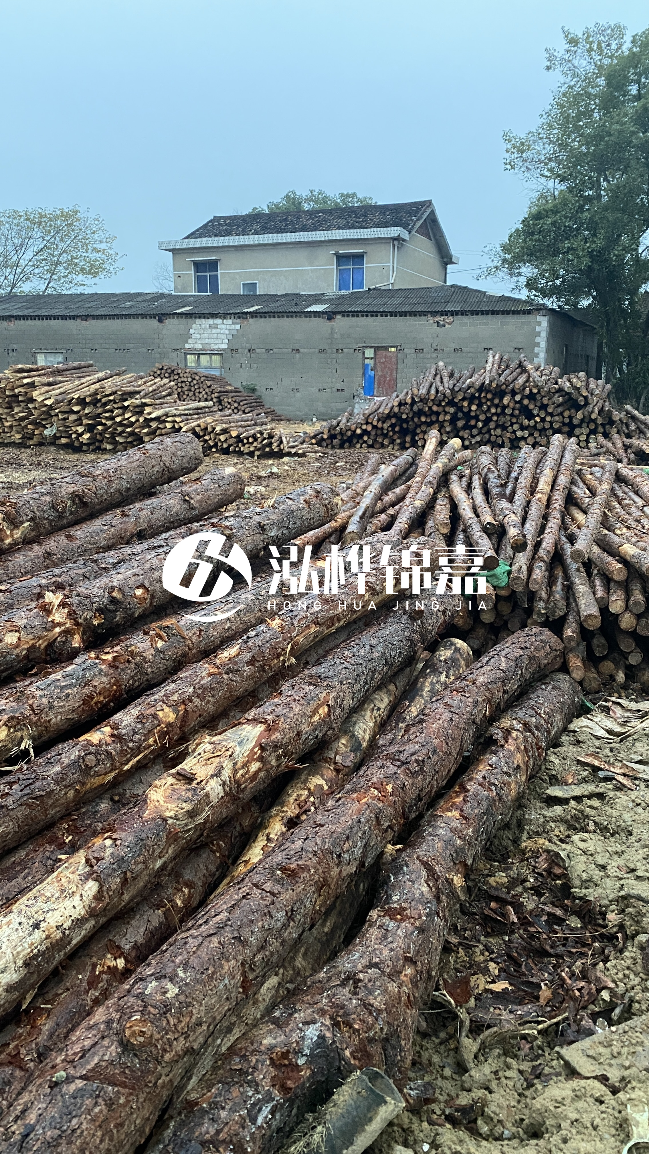 資陽(yáng)松木樁源頭廠家-工地松木樁的采購(gòu)渠道有哪些？