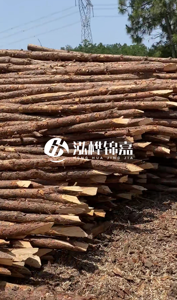 銅仁市挖機打木樁專業(yè)施工-河道松木樁水面需要預留多少？