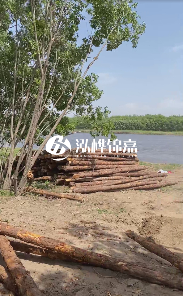 慶陽(yáng)挖機(jī)打木樁專業(yè)施工-松木打樁過(guò)程中如何避免木材開裂？