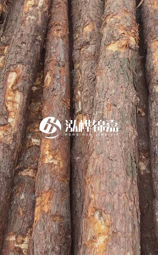 浙江地區(qū)大量供應(yīng)松木樁，源頭廠家在哪里？