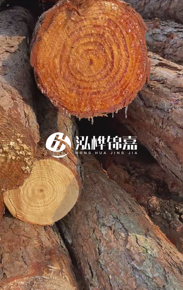 6米松木樁尾部11-14頭部多少？怎么算出來的？