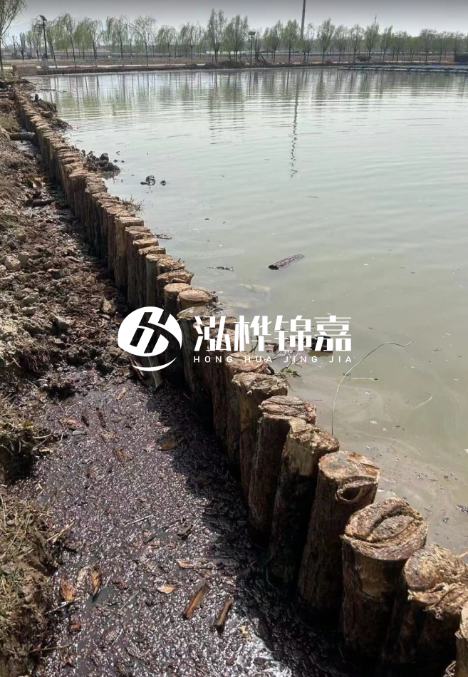 松木樁為什么要一根一根挨著打？秘密在這里！看完恍然大悟！