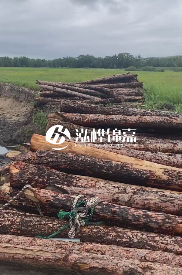 4米松木樁多少錢一根？松木樁預(yù)算單價怎么算的？