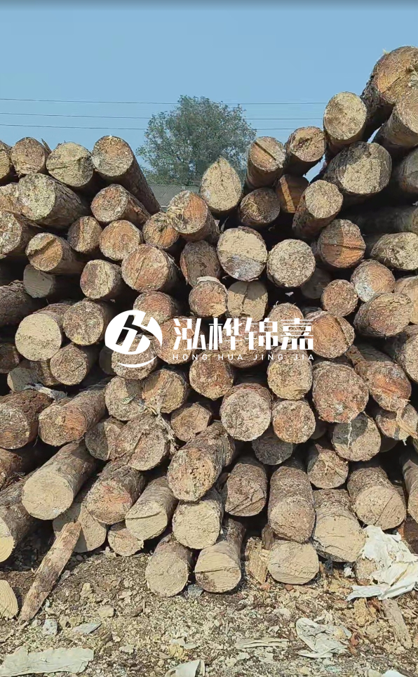 打松木樁多少錢一米 - 4 米松木樁打樁大概多少錢一根？