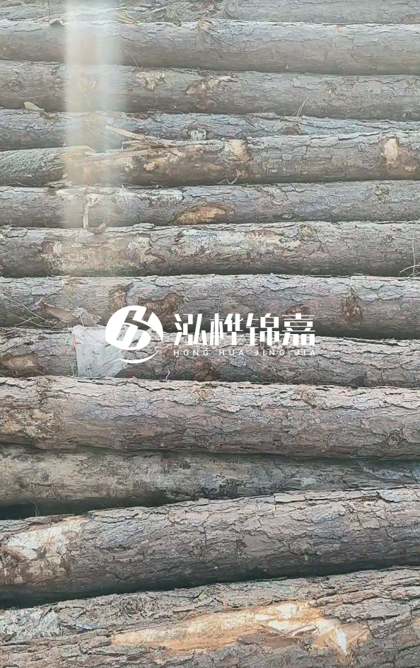 松木樁5米100mm一根多少錢(qián)-5米140mm多少錢(qián)？