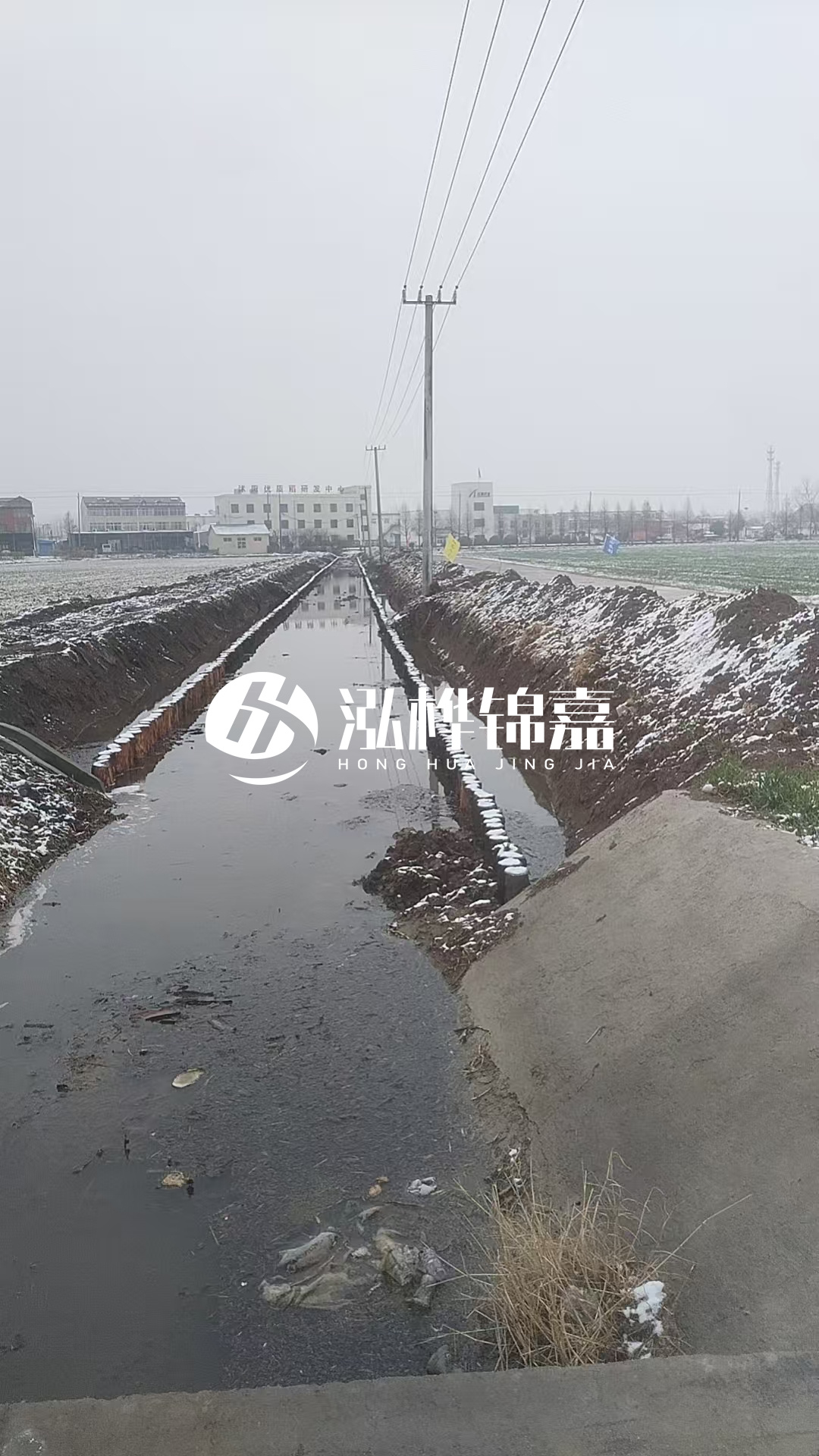 4米松木樁和杉木樁價(jià)格相差多少？哪個(gè)更便宜？