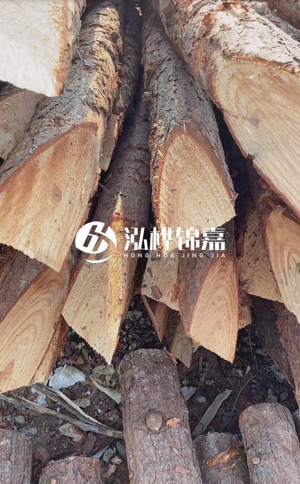 3米杉木樁梢頭12大頭多少？賣多少錢一根？