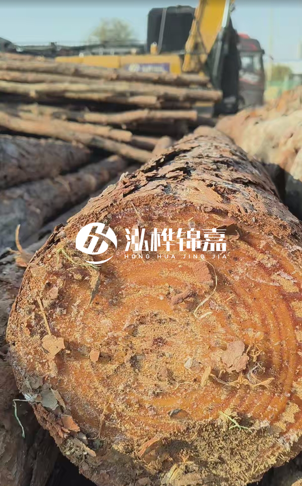 杉木樁價(jià)格多少錢一方-3米直徑14公分杉木樁價(jià)格？