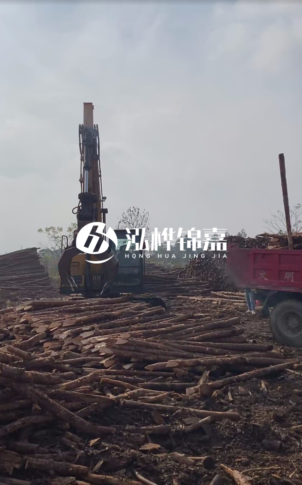 6米打樁木多少錢一根-6米10-15公分價(jià)格是多少？