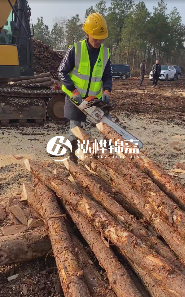 松木樁樁長1.5米稍徑12多少錢一根？樁長1.5米稍徑12大頭多少？