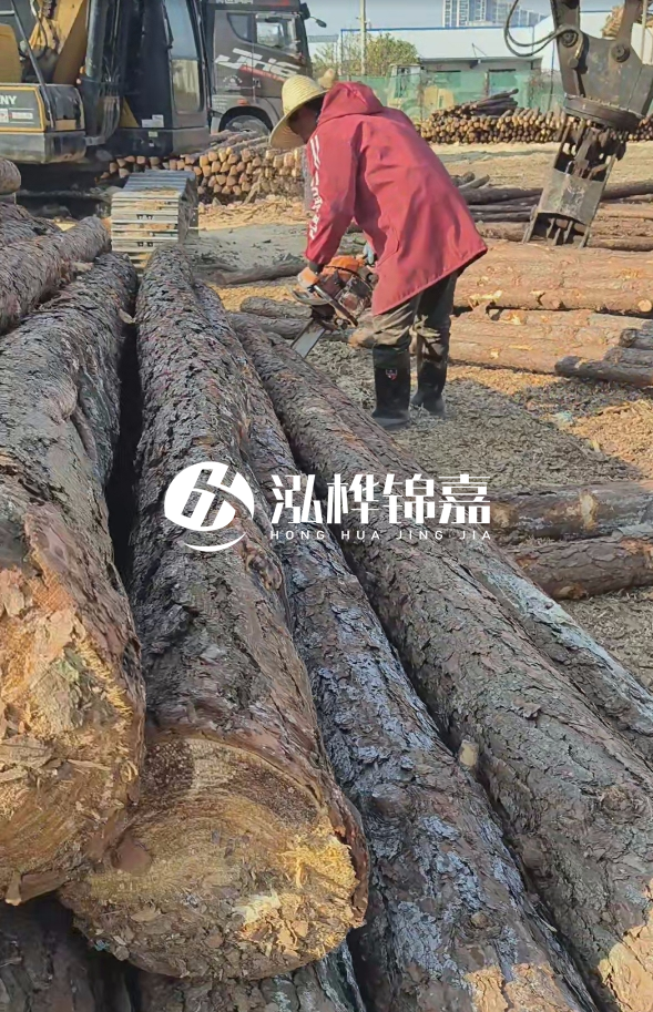 長沙打樁木批發(fā)廠家在哪里？聯(lián)系方式是什么？