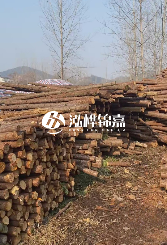 打杉木樁多少錢一根-一天能打多少根？