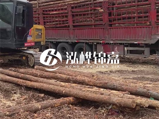 江西2米10-12松木樁多少錢一根？10-15公分價格又是多少？