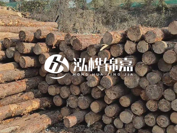 落葉松木材的主要產地在哪里？為什么比其他松木更耐腐蝕？