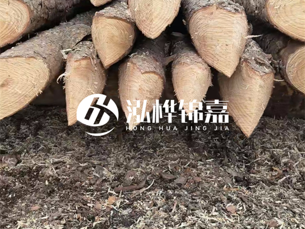 打樁木樁與鋼樁相比有哪些優(yōu)缺點？如何進行后期維護？