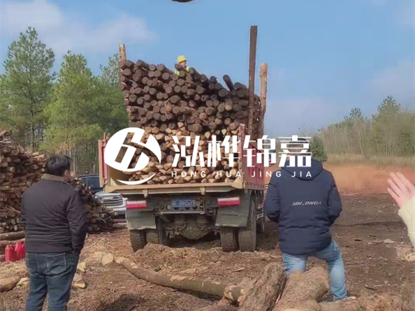 松木樁價(jià)格是按米算還是按根算？6米松木樁批發(fā)價(jià)每根多少錢(qián)？