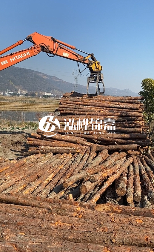 帶皮松木樁的防腐效果如何？和不帶皮松木樁價格差異有多大？