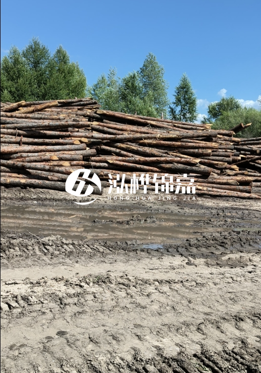 3米松木樁適合河道護(hù)坡嗎？小頭直徑8厘米的松木樁價格如何？