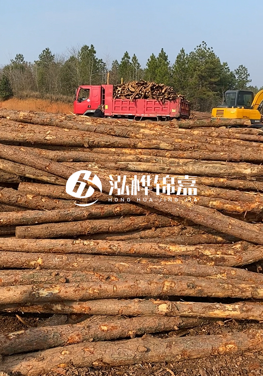 8米小頭11-13CM的松木樁價格是多少？打樁施工怎么算？