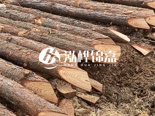 松木樁削尖的費用怎么算？按根收費還是包含在單價里？