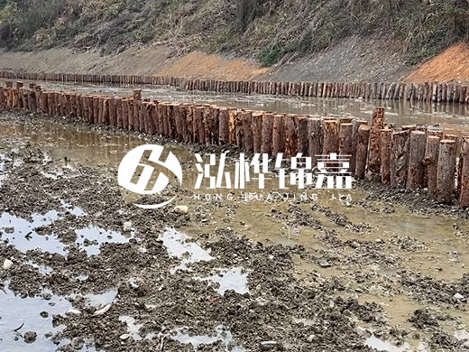 甘肅松木樁源頭廠家泓樺錦嘉-松木樁價格4米多少一根？