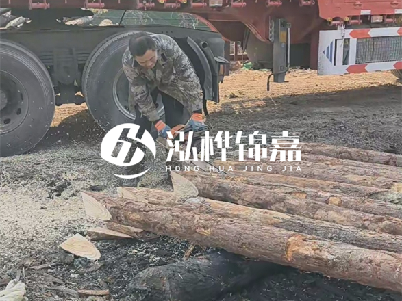 松木圓木價格大概多少一方-松木樁廠家按方可以賣嗎？