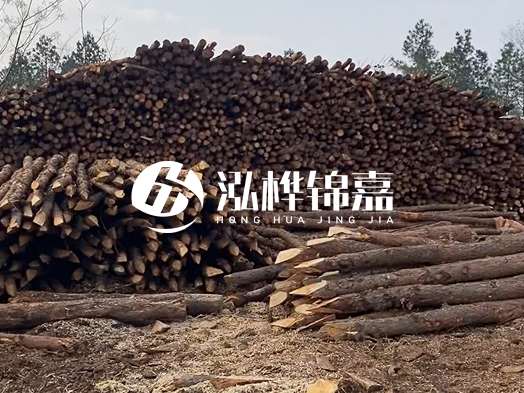 地基打木樁用什么木材 - 地基打木樁的能撐幾年？