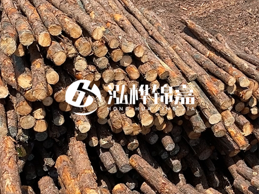 江西有哪些松木樁生產(chǎn)廠家？松木樁廠在什么位置？