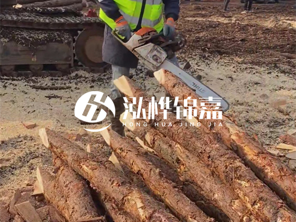 松木樁河道護(hù)坡怎么施工？打樁多少錢一根？