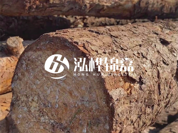 松木樁如何做到千年不腐的？松木樁打地基耐用年限揭秘