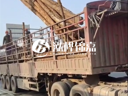 4米長杉木10公分價格-4.5米直徑15cm 杉木多少錢？