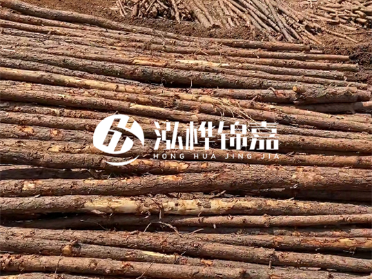 10公分的木材多少根為一方 - 4米10公分樹多少根為一方？