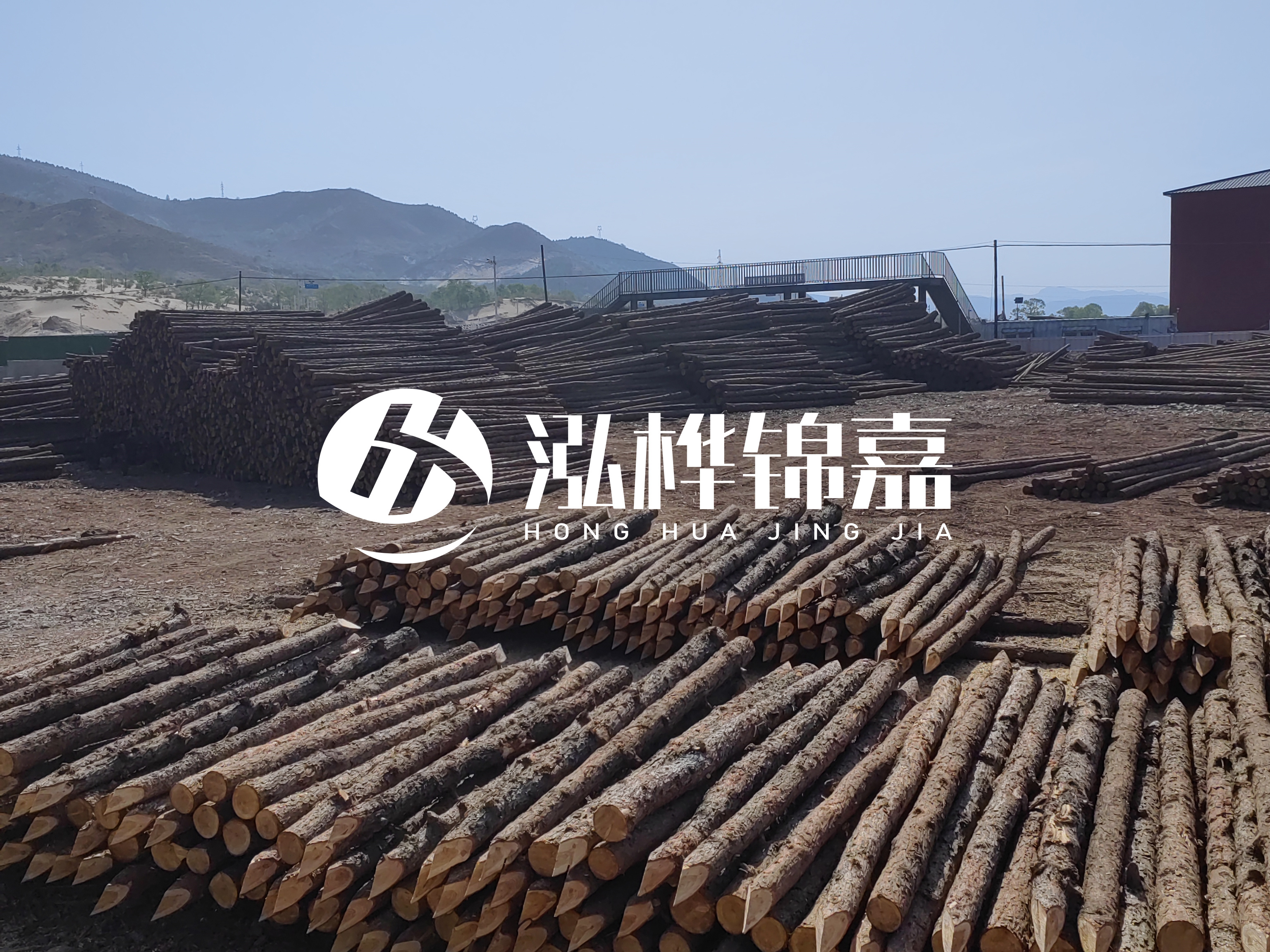 江蘇打樁木源頭廠家泓樺錦嘉-4米打樁木大頭14-16小頭一般多少？