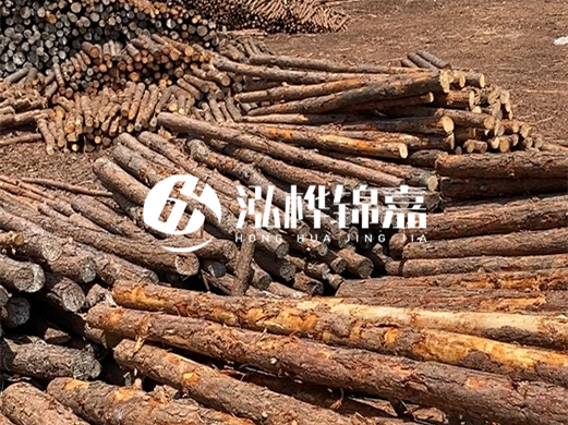 浙江打樁木源頭廠家泓樺錦嘉-松木廠家批發(fā)電話地址？